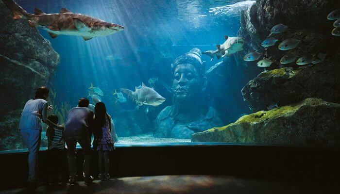 Siam Ocean World