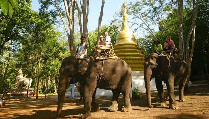Elephant World Kanchanaburi Thailand