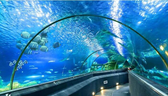 National Oceanographic Museum of Nha Trang Vietnam
