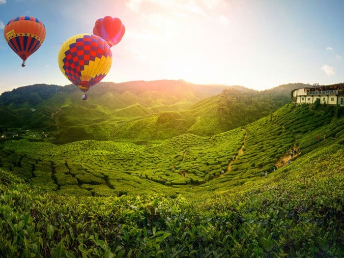 Cameron Highlands