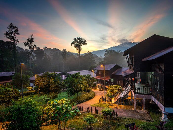 Taman Negara