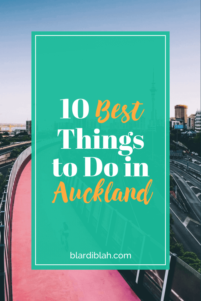 10 Best Things to Do in Auckland