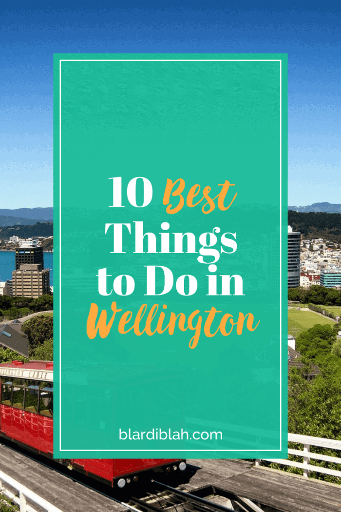 10 Best Things to Do in Wellington