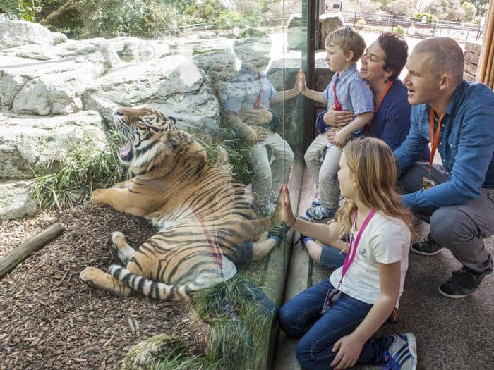 Auckland Zoo