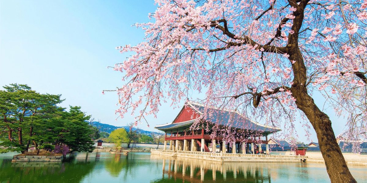 Best Things to Do in Seoul South Korea