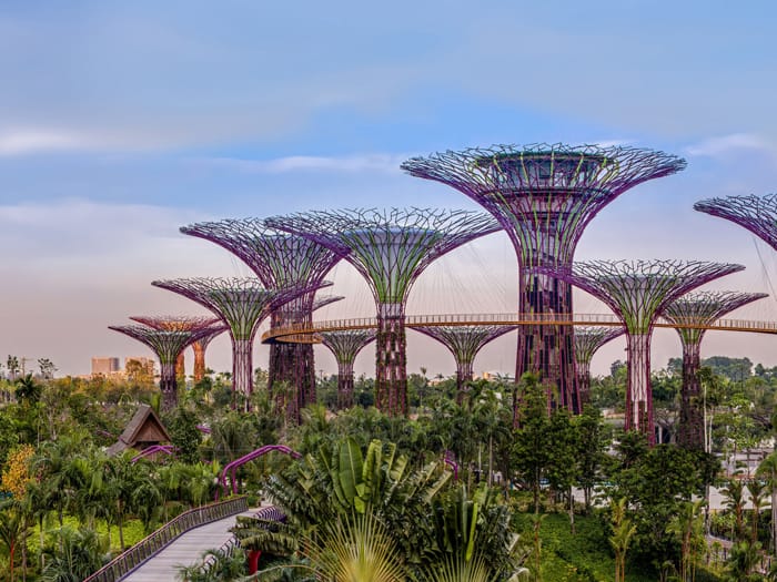 Gardens by the Bay