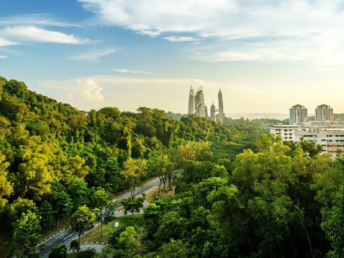 Mount Faber