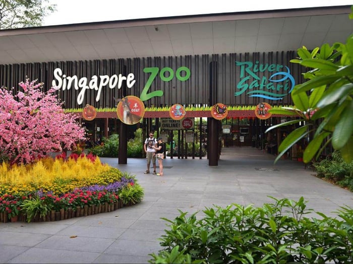 Singapore Zoo