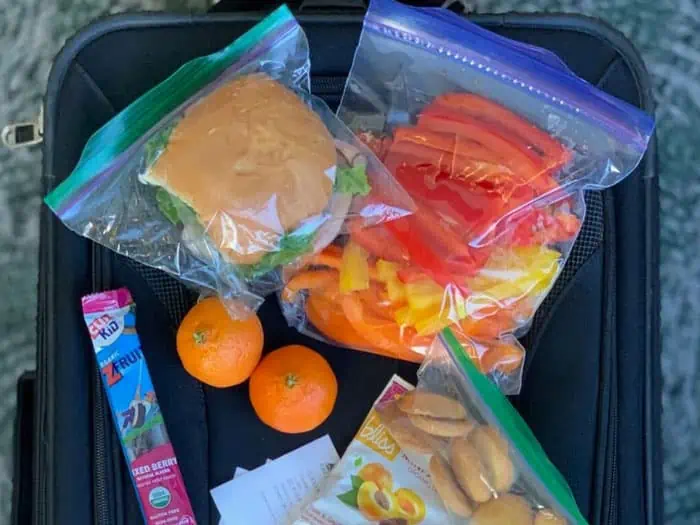 Homemade sandwich on a plane